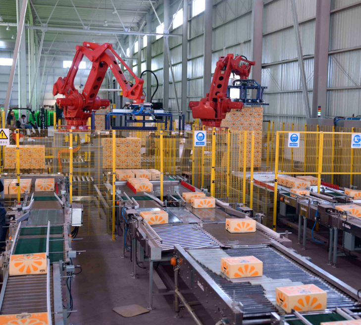 “Chu oranges sorting successful case