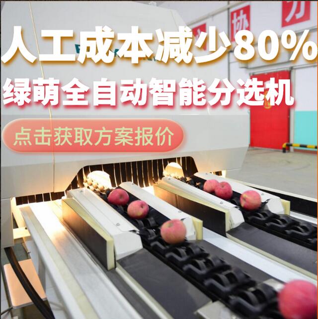 綠萌是水果智能分選設(shè)備國家高新技術(shù)企業(yè),對(duì)水果采后處理提供全套解決方案。綠萌水果分選機(jī)可進(jìn)行大小重量分級(jí)、外觀顏色分選、內(nèi)部品質(zhì)糖度檢測(cè)。提供全自動(dòng)水果分選設(shè)備,水果選果機(jī),智能水果分選機(jī),全自動(dòng)水果分選機(jī),水果分級(jí)機(jī),小型水果分選機(jī)，水果分級(jí)機(jī),水果稱重分選機(jī),水果重量分選機(jī),水果大小分選機(jī),水果顏色分選機(jī),水果糖度分選機(jī),配套水果清洗機(jī)、水果洗果保鮮機(jī)、水果包裝機(jī)、水果消毒滅菌殺菌機(jī),水果打蠟機(jī)。更多水果分選方案報(bào)價(jià),小型水果選果設(shè)備價(jià)格、水果分級(jí)機(jī)怎么樣、口碑好質(zhì)量好的水果選果機(jī)、了解高性能水果分選機(jī)多少錢,咨詢客服免費(fèi)獲取