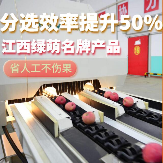 綠萌是水果智能分選設(shè)備國家高新技術(shù)企業(yè),對(duì)水果采后處理提供全套解決方案。綠萌水果分選機(jī)可進(jìn)行大小重量分級(jí)、外觀顏色分選、內(nèi)部品質(zhì)糖度檢測(cè)。提供全自動(dòng)水果分選設(shè)備,水果選果機(jī),智能水果分選機(jī),全自動(dòng)水果分選機(jī),水果分級(jí)機(jī),小型水果分選機(jī)，水果分級(jí)機(jī),水果稱重分選機(jī),水果重量分選機(jī),水果大小分選機(jī),水果顏色分選機(jī),水果糖度分選機(jī),配套水果清洗機(jī)、水果洗果保鮮機(jī)、水果包裝機(jī)、水果消毒滅菌殺菌機(jī),水果打蠟機(jī)。更多水果分選方案報(bào)價(jià),小型水果選果設(shè)備價(jià)格、水果分級(jí)機(jī)怎么樣、口碑好質(zhì)量好的水果選果機(jī)、了解高性能水果分選機(jī)多少錢,咨詢客服免費(fèi)獲取