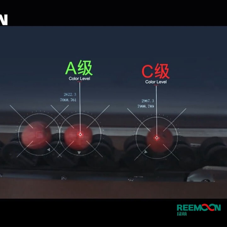 綠萌水果分選機(jī)多少錢？江西綠萌科技控股有限公司廠家直銷報(bào)價(jià)