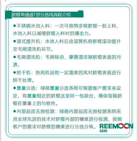 今年綠萌推出T型系列設(shè)備，專為中國果農(nóng)研制的高性價(jià)比的設(shè)備，具有功能齊全、小型輕便可移動(dòng)、操作簡(jiǎn)單、易維護(hù)的優(yōu)點(diǎn)。臍橙單通道分選線確保每箱分選過的臍橙個(gè)頭勻稱、糖酸度相近，有著穩(wěn)定的品質(zhì)，讓非標(biāo)準(zhǔn)的農(nóng)產(chǎn)品標(biāo)準(zhǔn)化。該分選線專門為中國小戶果農(nóng)定制，為客戶實(shí)地考察，根據(jù)客戶需求全流程設(shè)計(jì)，