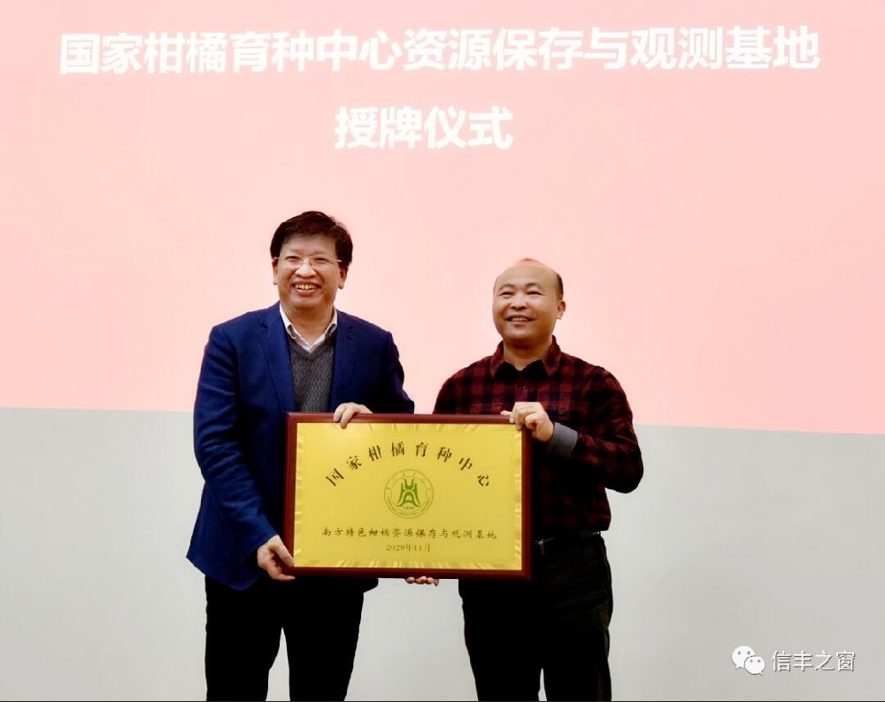兩塊牌匾！我縣臍橙產(chǎn)業(yè)高質(zhì)量發(fā)展又上新臺(tái)階 11月30日，中國工程院副院長、民盟中央副主席、中國科學(xué)技術(shù)協(xié)會(huì)副主席、國家現(xiàn)代農(nóng)業(yè)柑橘產(chǎn)業(yè)技術(shù)體系首席科學(xué)家鄧秀新帶領(lǐng)調(diào)研組來到我縣調(diào)研，并出席華中農(nóng)業(yè)大學(xué)與江西綠萌科技控股有限公司簽約儀式、“綠萌果蔬生產(chǎn)智慧裝備研究院”和“國家柑橘育種中心南方特色柑橘資源保