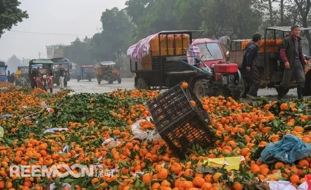 中國(guó)是果業(yè)大國(guó)，水果種植面積和產(chǎn)量近年來(lái)一直穩(wěn)居世界第一。隨著消費(fèi)水平的提高，中國(guó)果業(yè)發(fā)展迅速，成為資本進(jìn)入的重要領(lǐng)域，許多人紛紛跨界轉(zhuǎn)入了農(nóng)業(yè)，盡管大量的資金和人才進(jìn)入，但仍未能改變現(xiàn)狀:中國(guó)果業(yè)當(dāng)前面臨的主要問題仍是“產(chǎn)能過剩，質(zhì)量不高”。那么，中國(guó)果業(yè)目前處于什么狀況?世界果業(yè)的發(fā)展如何，進(jìn)入水
